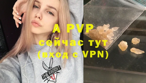 mdpv Богородск
