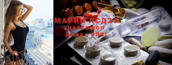 амф Богданович