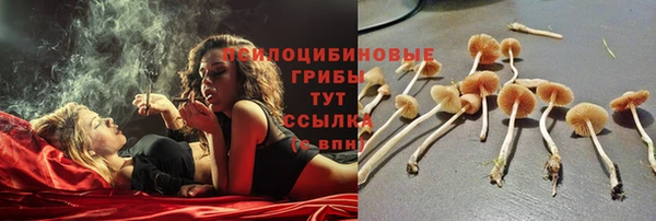 2c-b Болхов