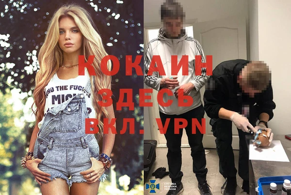 амф Богданович