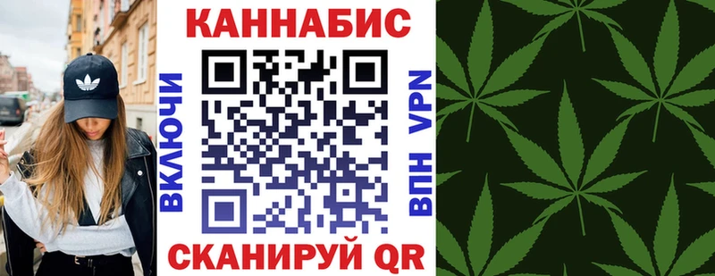 Конопля сатива  Вязьма 